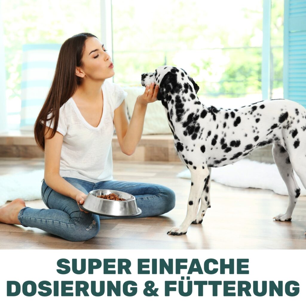 grunlippmuschelpulver-1261645