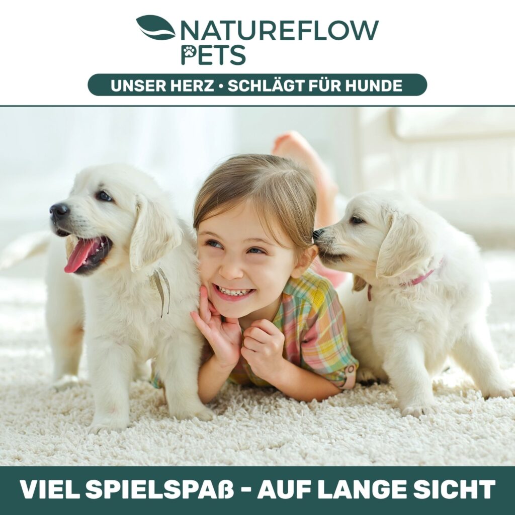 grunlippmuschelpulver-3458220