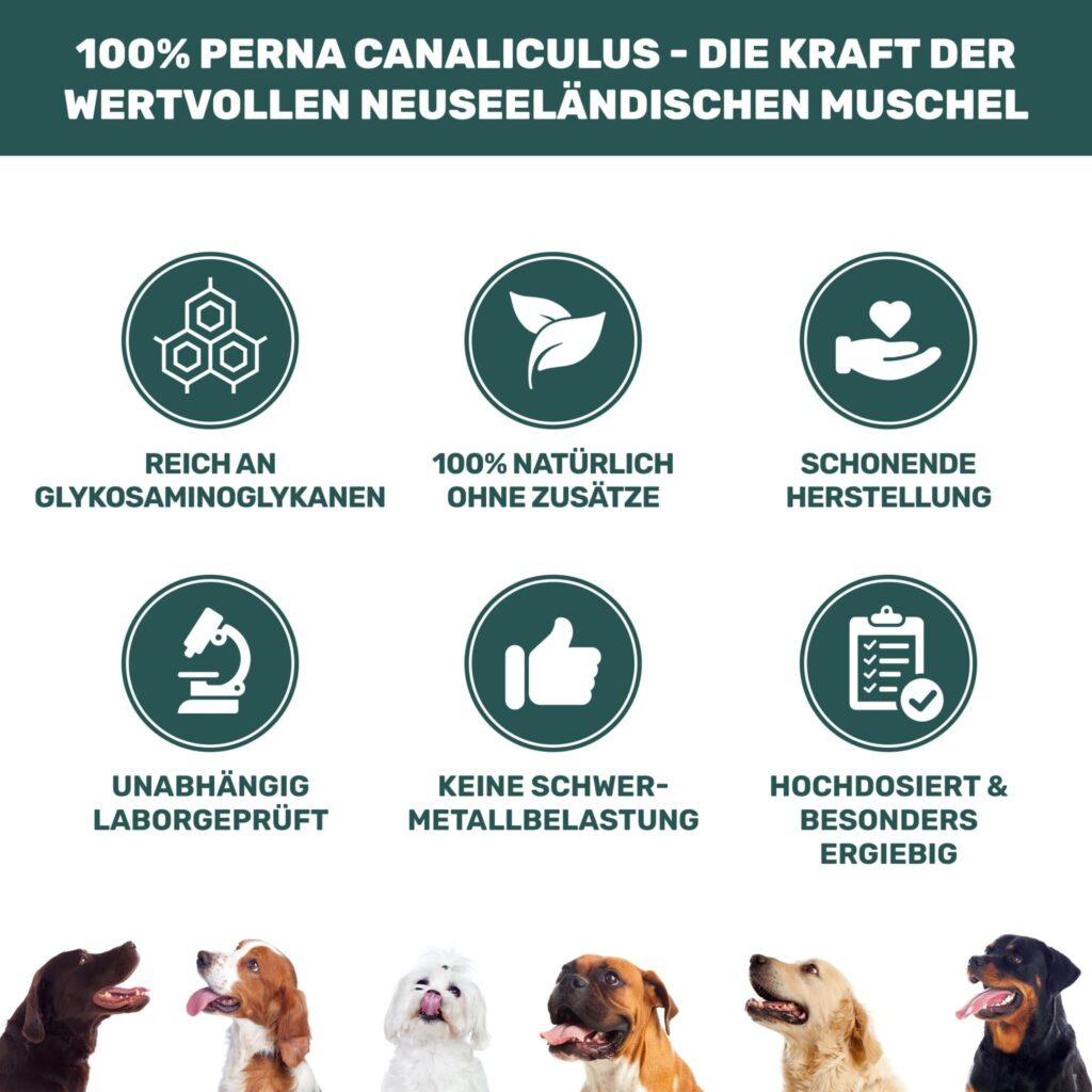 grunlippmuschelpulver-7377378