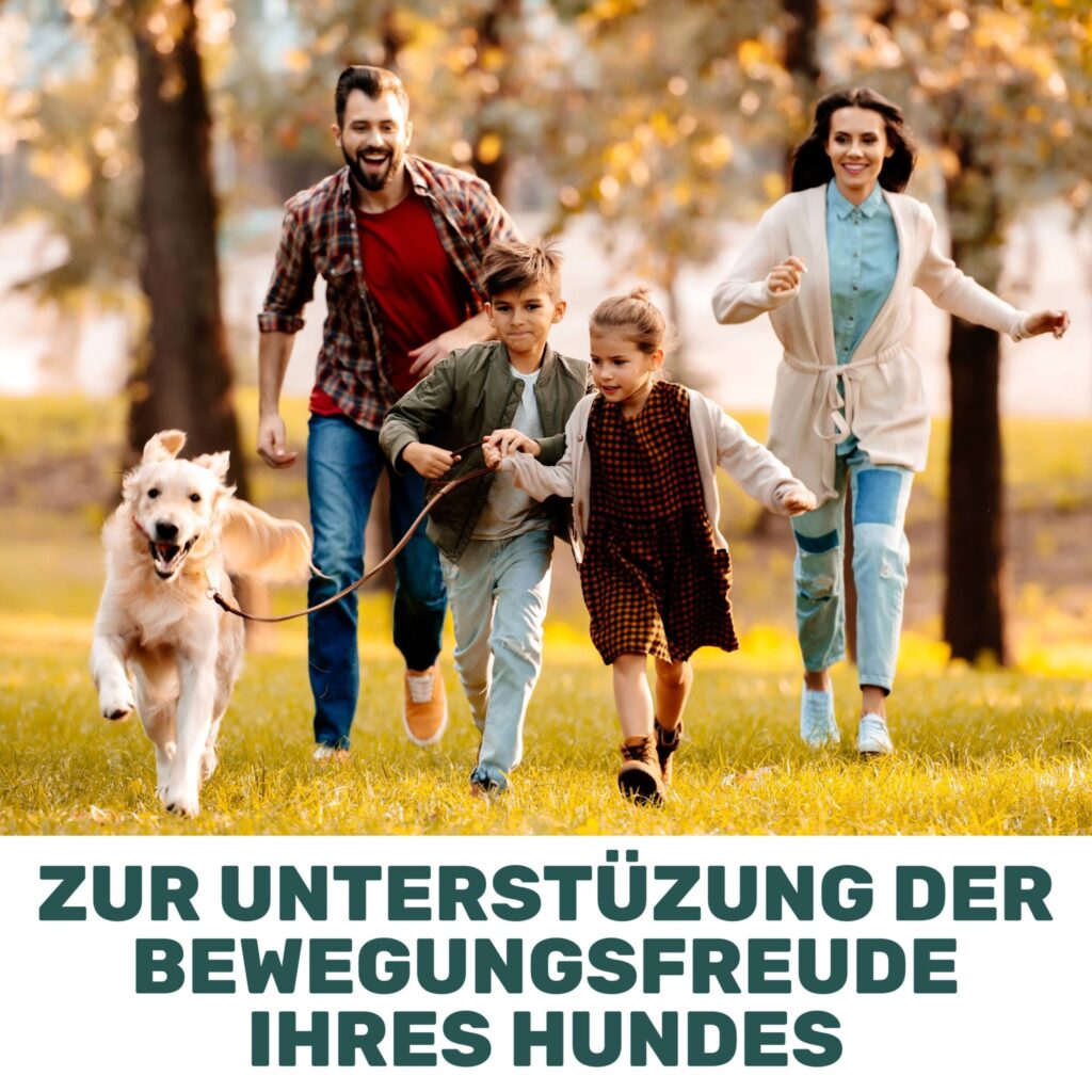 grunlippmuschelpulver-7476923