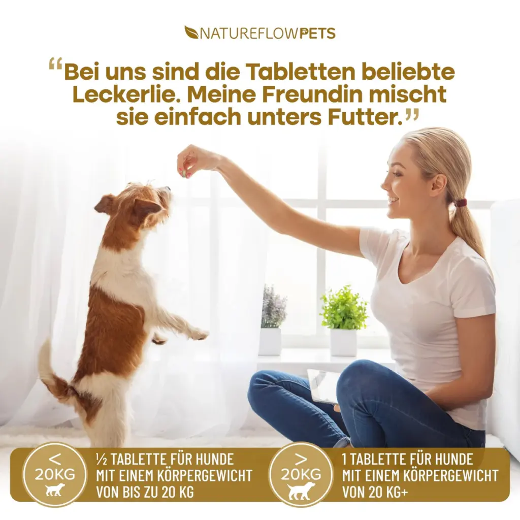 gelenktabletten-1825167